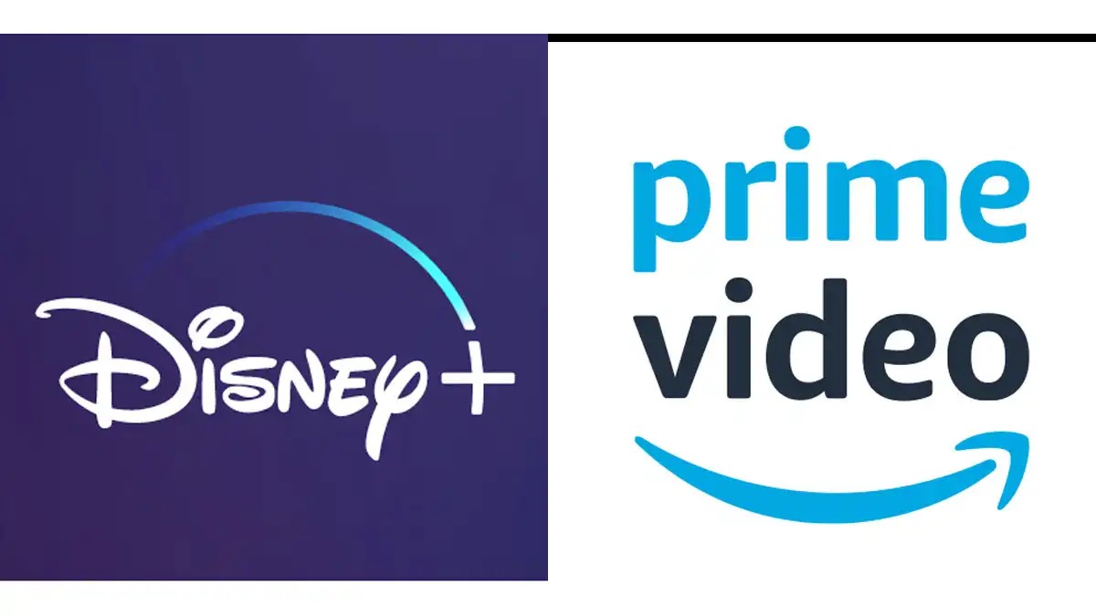 DISNEY+PRIME VIDEO - PERFIL